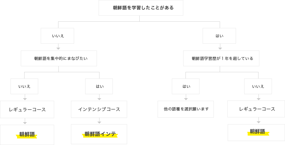カリキュラム図