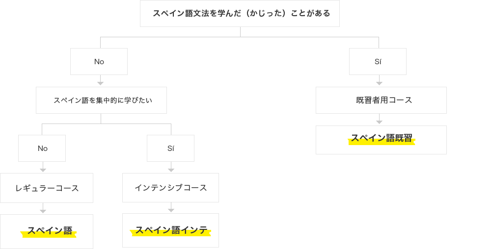 カリキュラム図